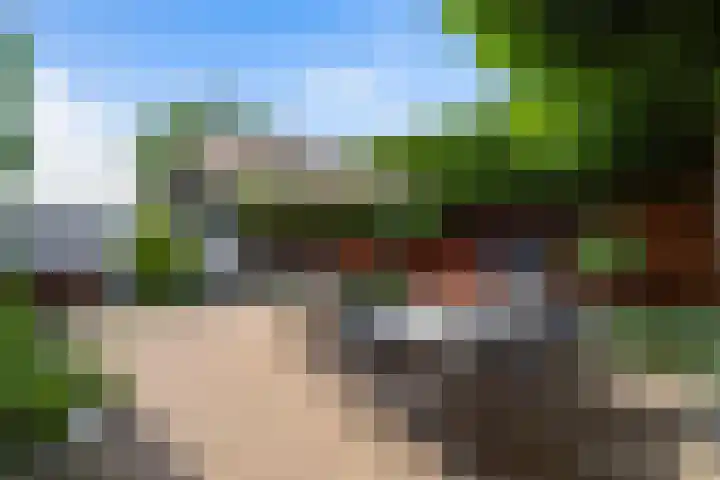 Keyserbosch 55 Weert thumbnail 36