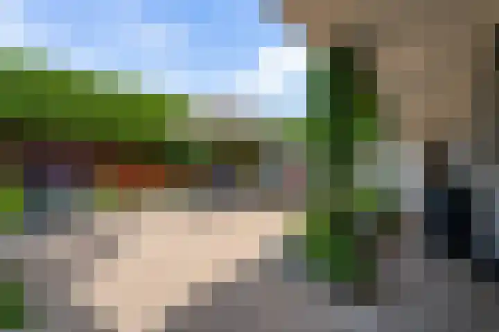 Keyserbosch 55 Weert thumbnail 40