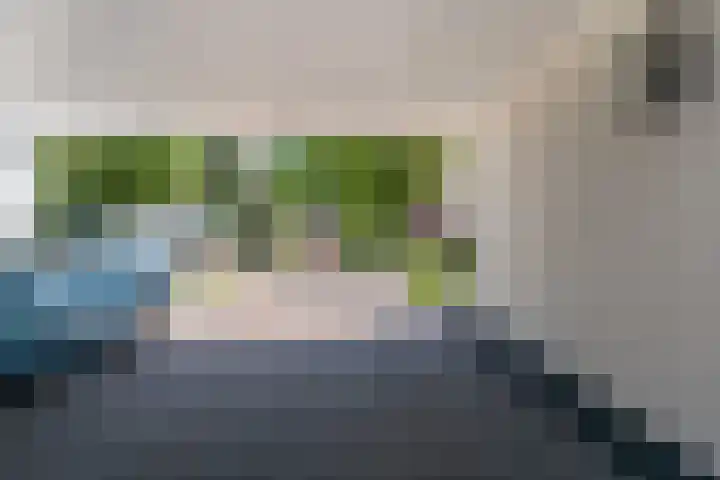Keyserbosch 55 Weert thumbnail 44