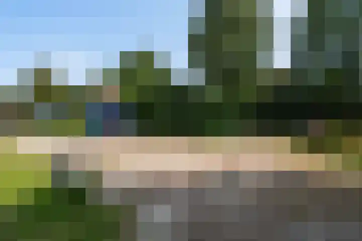 Keyserbosch 55 Weert thumbnail 46