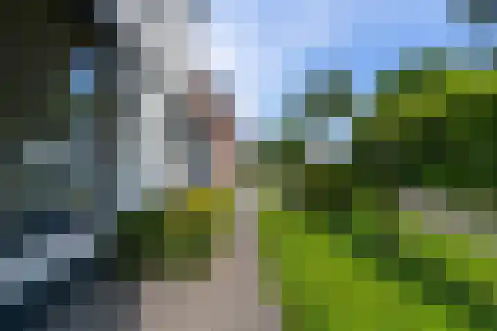 Keyserbosch 55 Weert thumbnail 7
