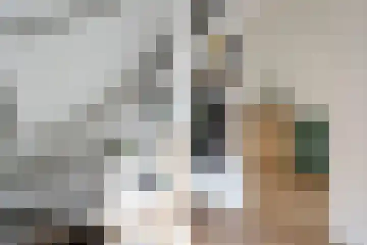 Kibbelstuk 10 Dwingeloo thumbnail 14