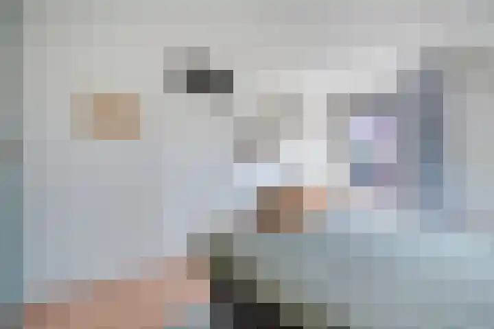 Kibbelstuk 10 Dwingeloo thumbnail 16