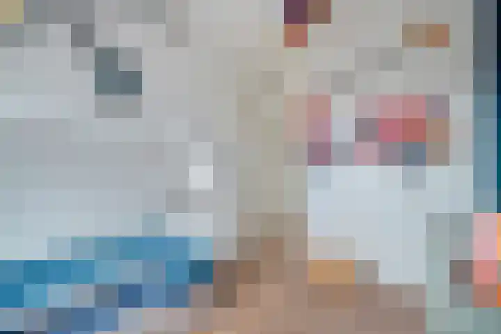 Kibbelstuk 10 Dwingeloo thumbnail 18