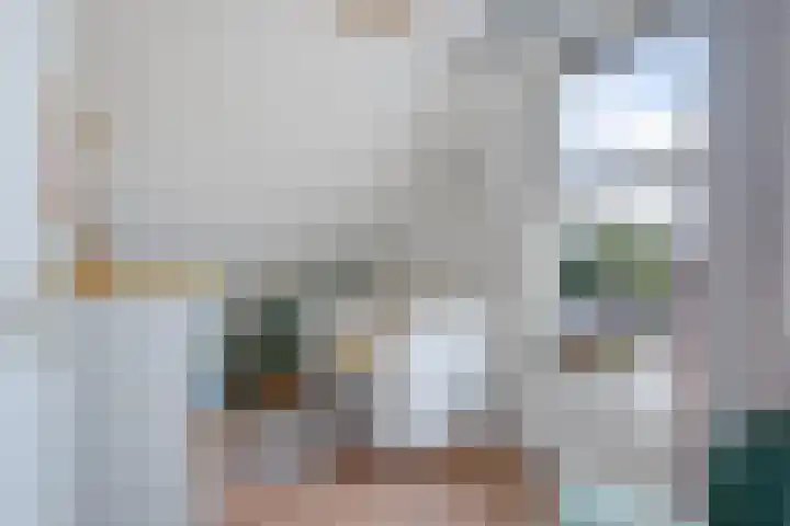 Kibbelstuk 10 Dwingeloo thumbnail 19