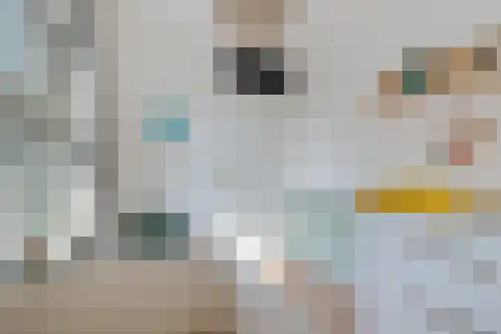 Kibbelstuk 10 Dwingeloo thumbnail 20
