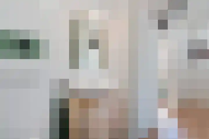 Kibbelstuk 10 Dwingeloo thumbnail 22