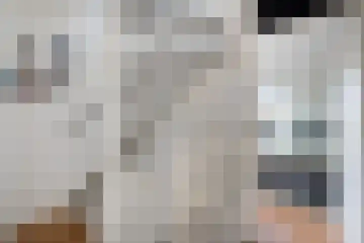 Kibbelstuk 10 Dwingeloo thumbnail 24