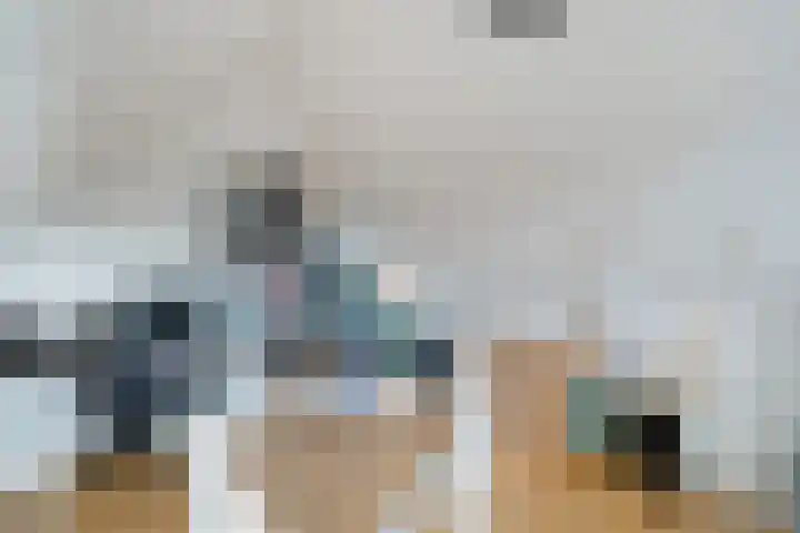 Kibbelstuk 10 Dwingeloo thumbnail 26
