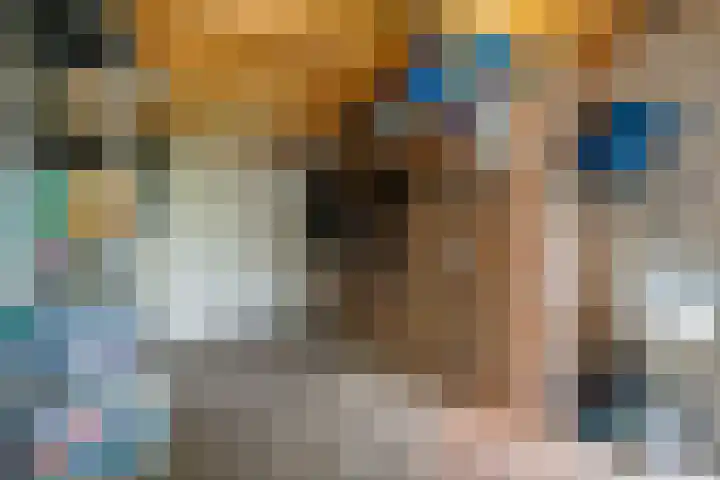 Kibbelstuk 10 Dwingeloo thumbnail 28