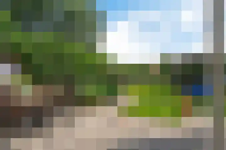 Kibbelstuk 10 Dwingeloo thumbnail 29