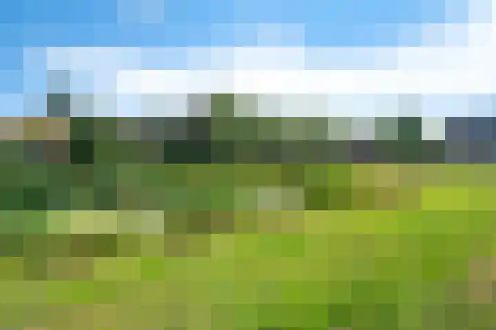 Kibbelstuk 10 Dwingeloo thumbnail 30