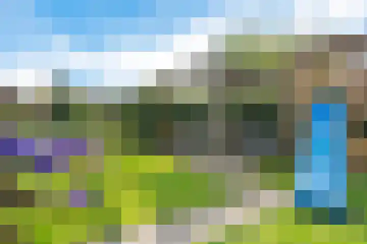 Kibbelstuk 10 Dwingeloo thumbnail 33