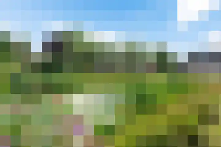 Kibbelstuk 10 Dwingeloo thumbnail 36