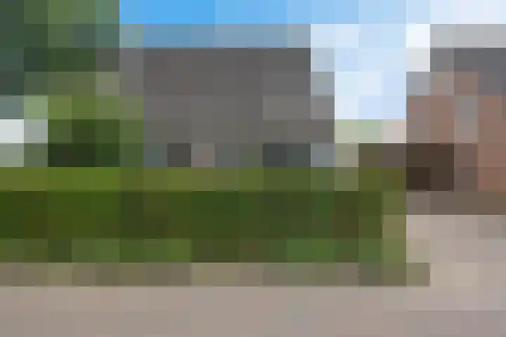 Kibbelstuk 10 Dwingeloo thumbnail 38