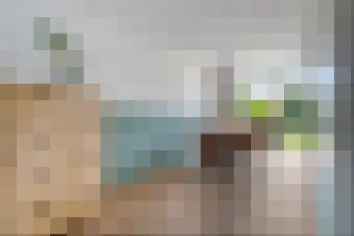 Kibbelstuk 10 Dwingeloo thumbnail 9
