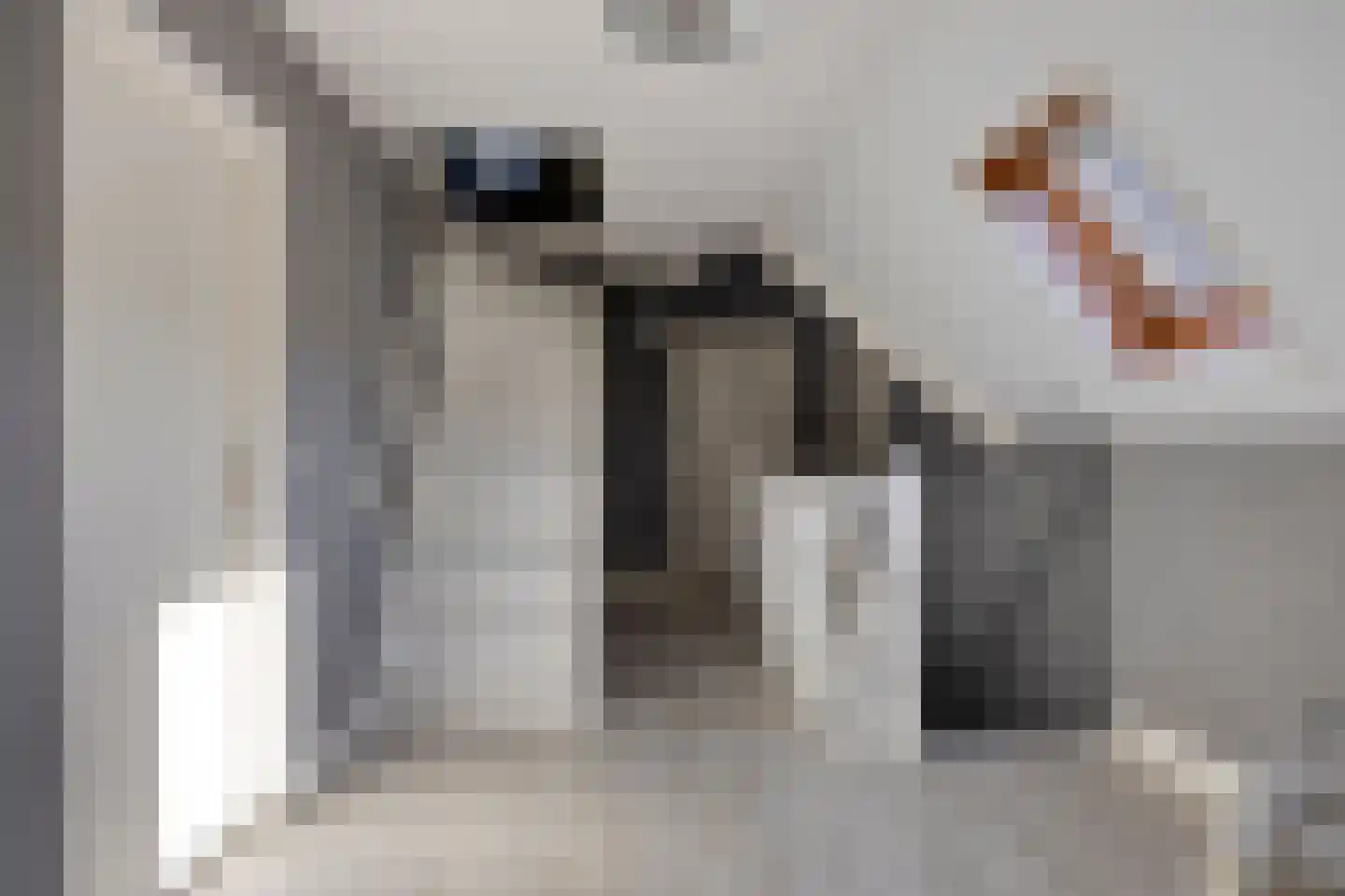 Kibbelstuk 24 Dwingeloo thumbnail 30