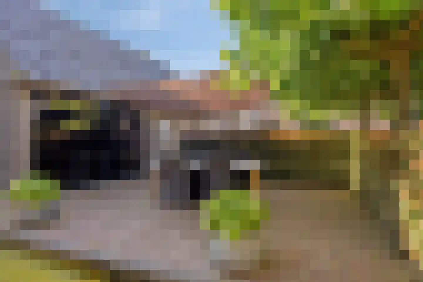 Kibbelstuk 24 Dwingeloo thumbnail 36