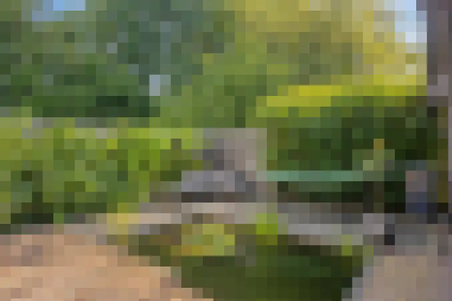Kibbelstuk 24 Dwingeloo thumbnail 37