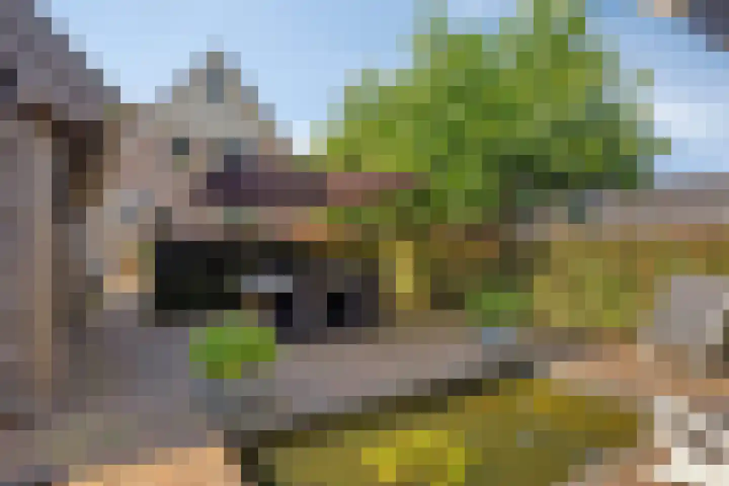 Kibbelstuk 24 Dwingeloo thumbnail 39