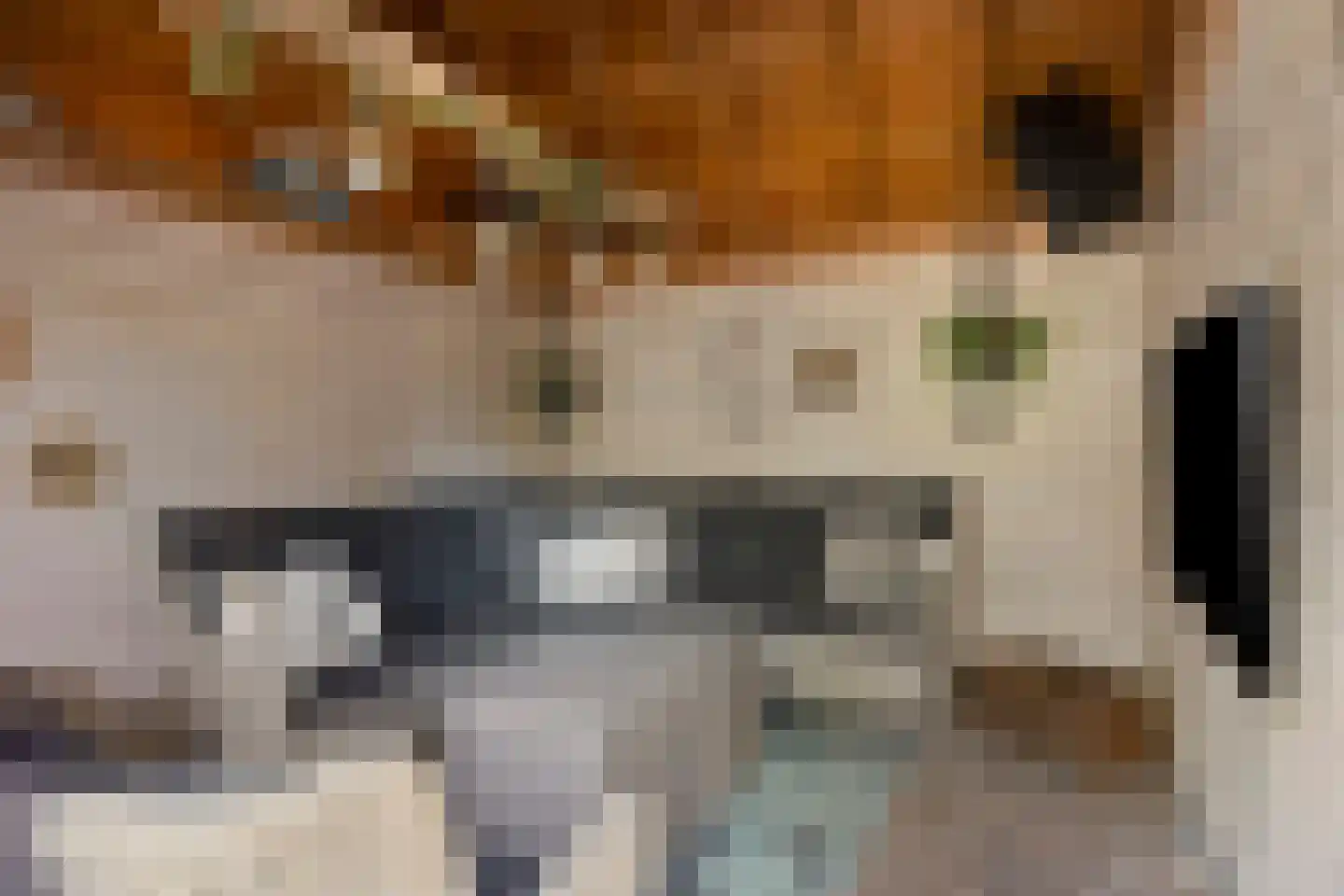 Kibbelstuk 24 Dwingeloo thumbnail 40