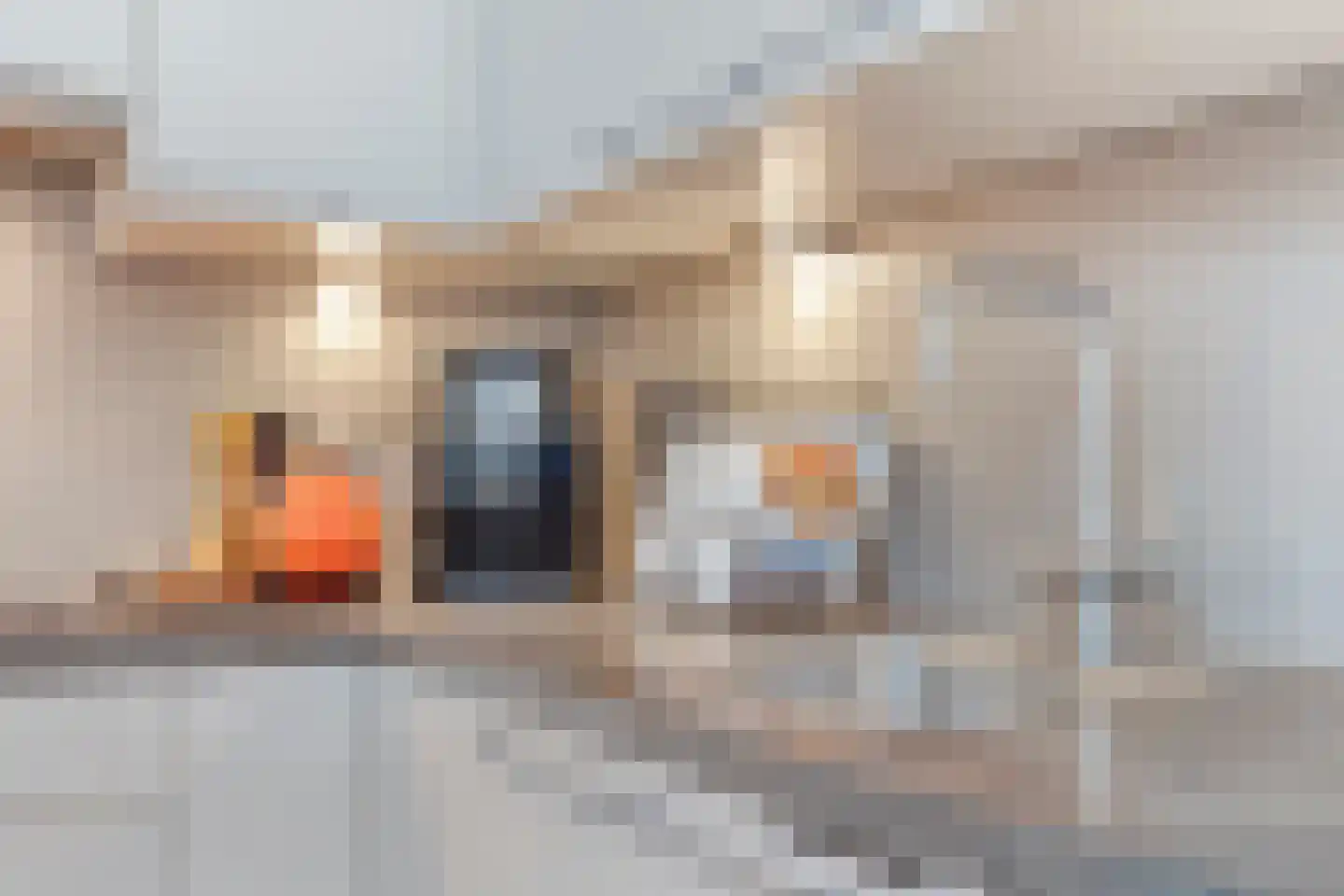 Kibbelstuk 7 Dwingeloo thumbnail 12