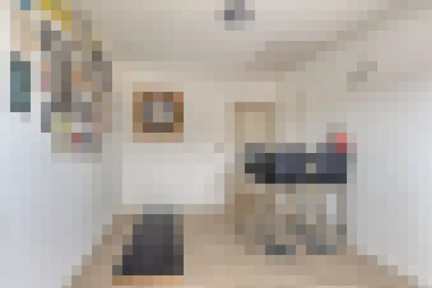 Kibbelstuk 7 Dwingeloo thumbnail 23