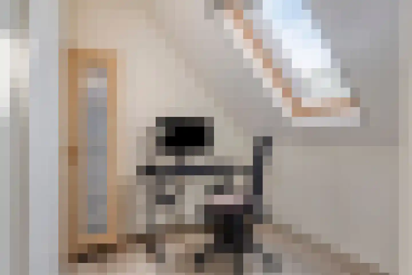 Kibbelstuk 7 Dwingeloo thumbnail 24