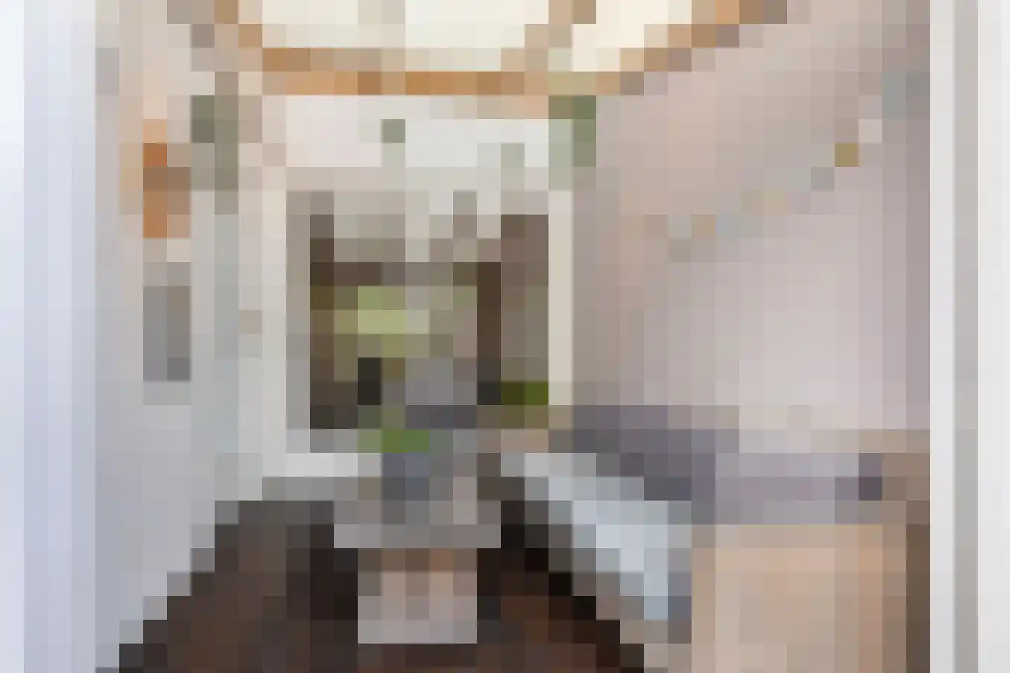 Kibbelstuk 7 Dwingeloo thumbnail 33