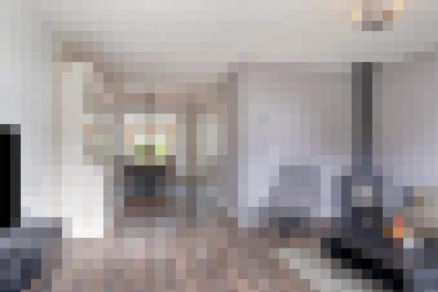 Kibbelstuk 7 Dwingeloo thumbnail 7