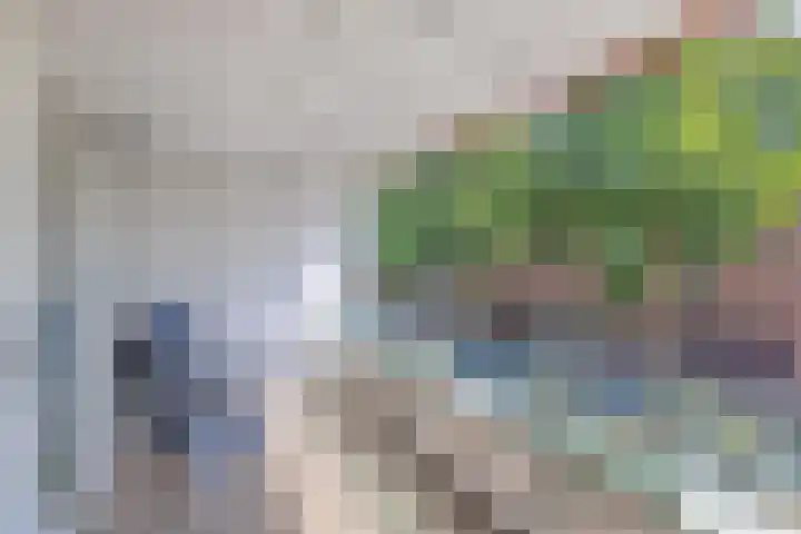 Kick Smitweg 17 Haarlem thumbnail 20