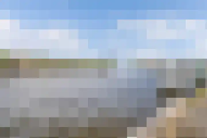 Kick Smitweg 17 Haarlem thumbnail 32