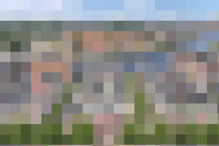 Kick Smitweg 17 Haarlem thumbnail 34