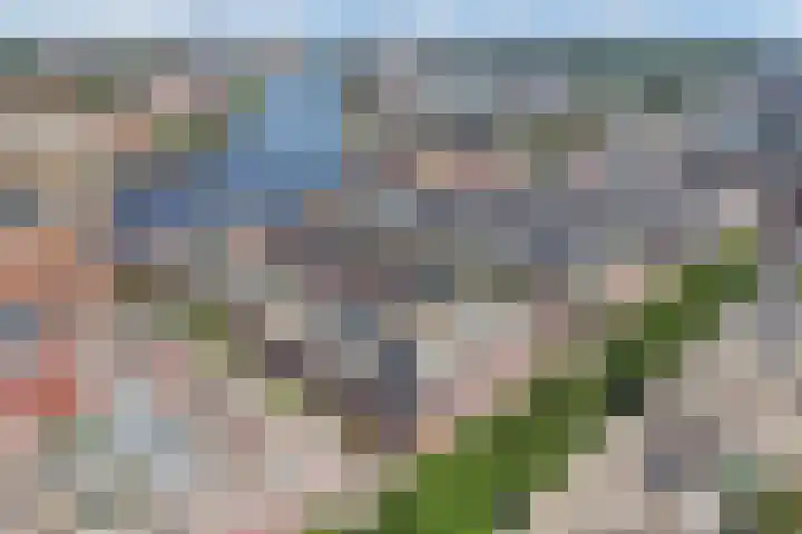 Kick Smitweg 17 Haarlem thumbnail 6