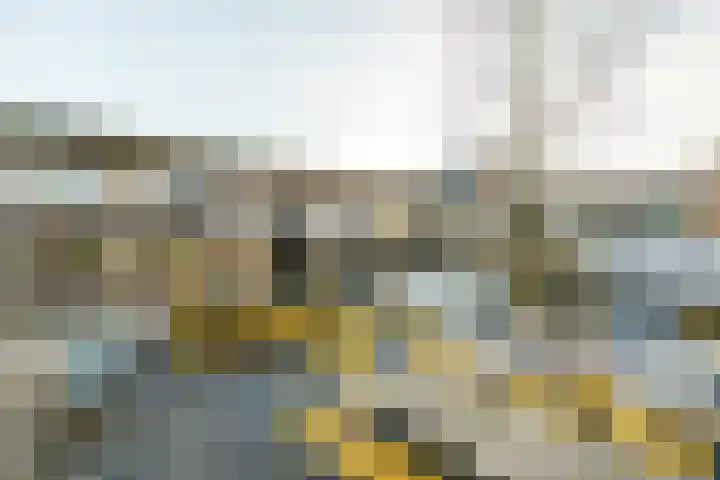 Kick Smitweg 21 Haarlem thumbnail 30