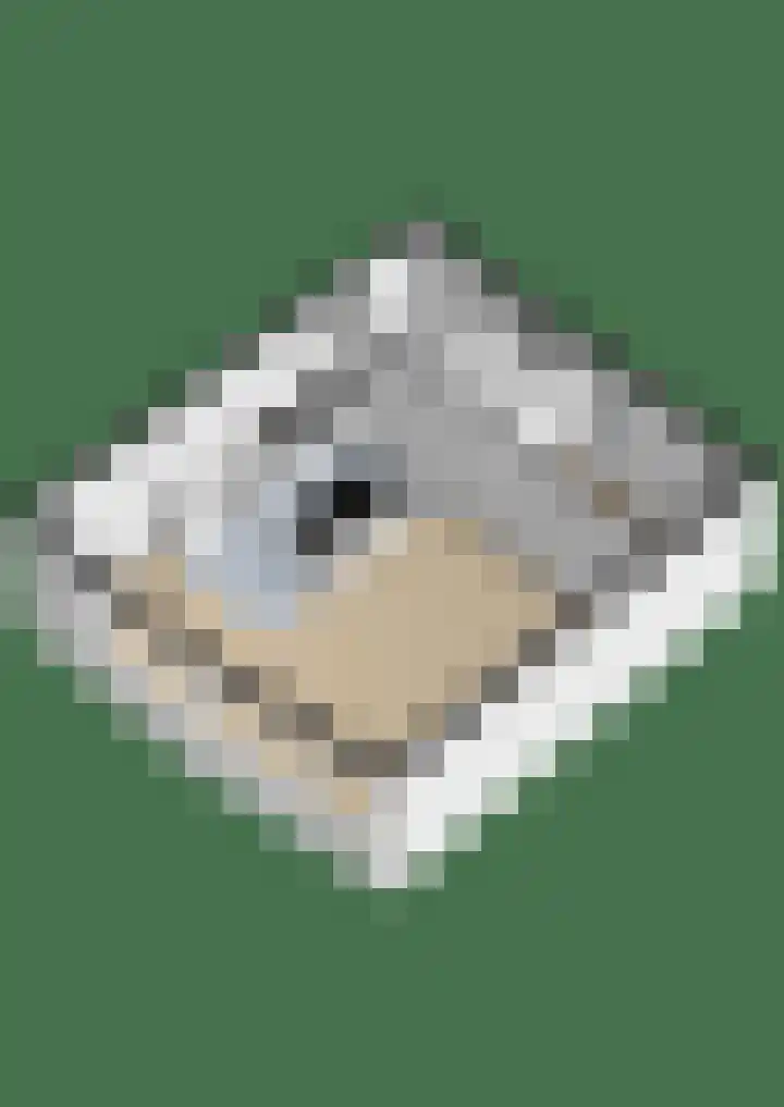 Kick Smitweg 21 Haarlem thumbnail 33
