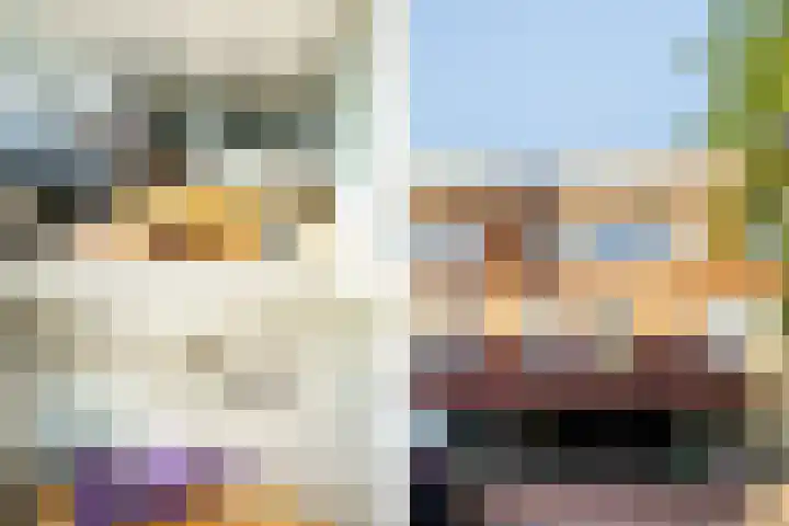 Kick Smitweg 21 Haarlem thumbnail 6