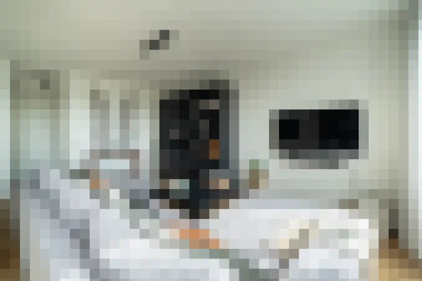 Kick Smitweg 23 Haarlem thumbnail 9
