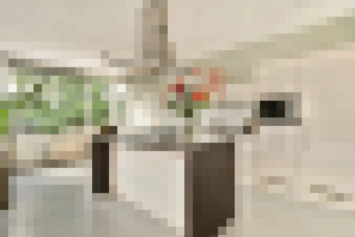 Kick Smitweg 35 Haarlem thumbnail 10