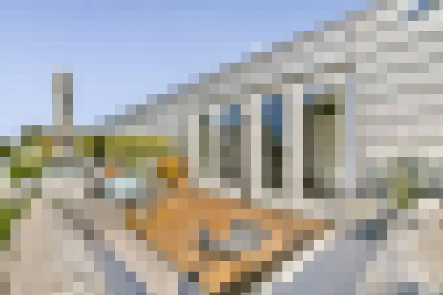 Kick Smitweg 35 Haarlem thumbnail 19