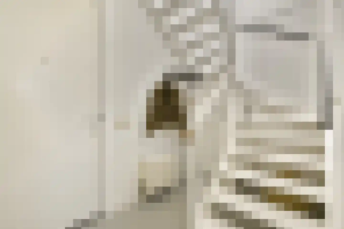 Kick Smitweg 35 Haarlem thumbnail 4