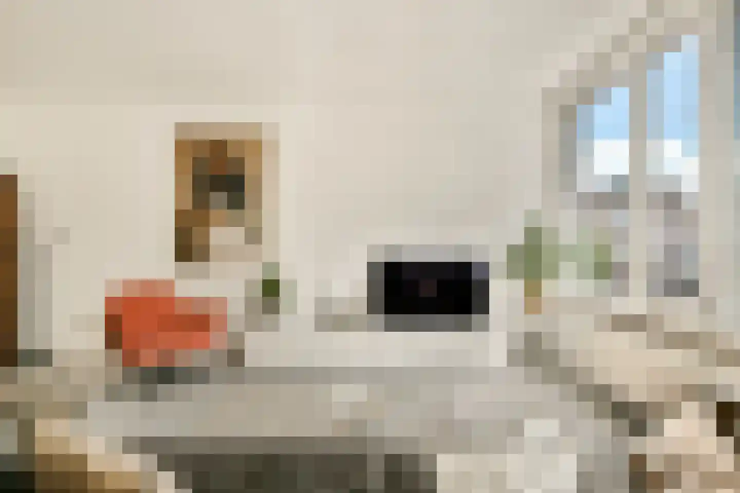 Kick Smitweg 35 Haarlem thumbnail 6