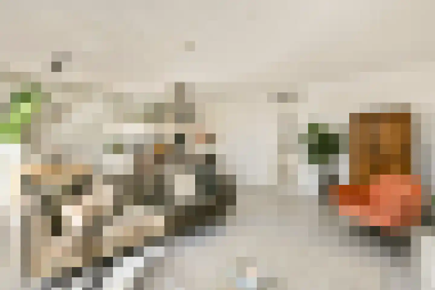 Kick Smitweg 35 Haarlem thumbnail 7