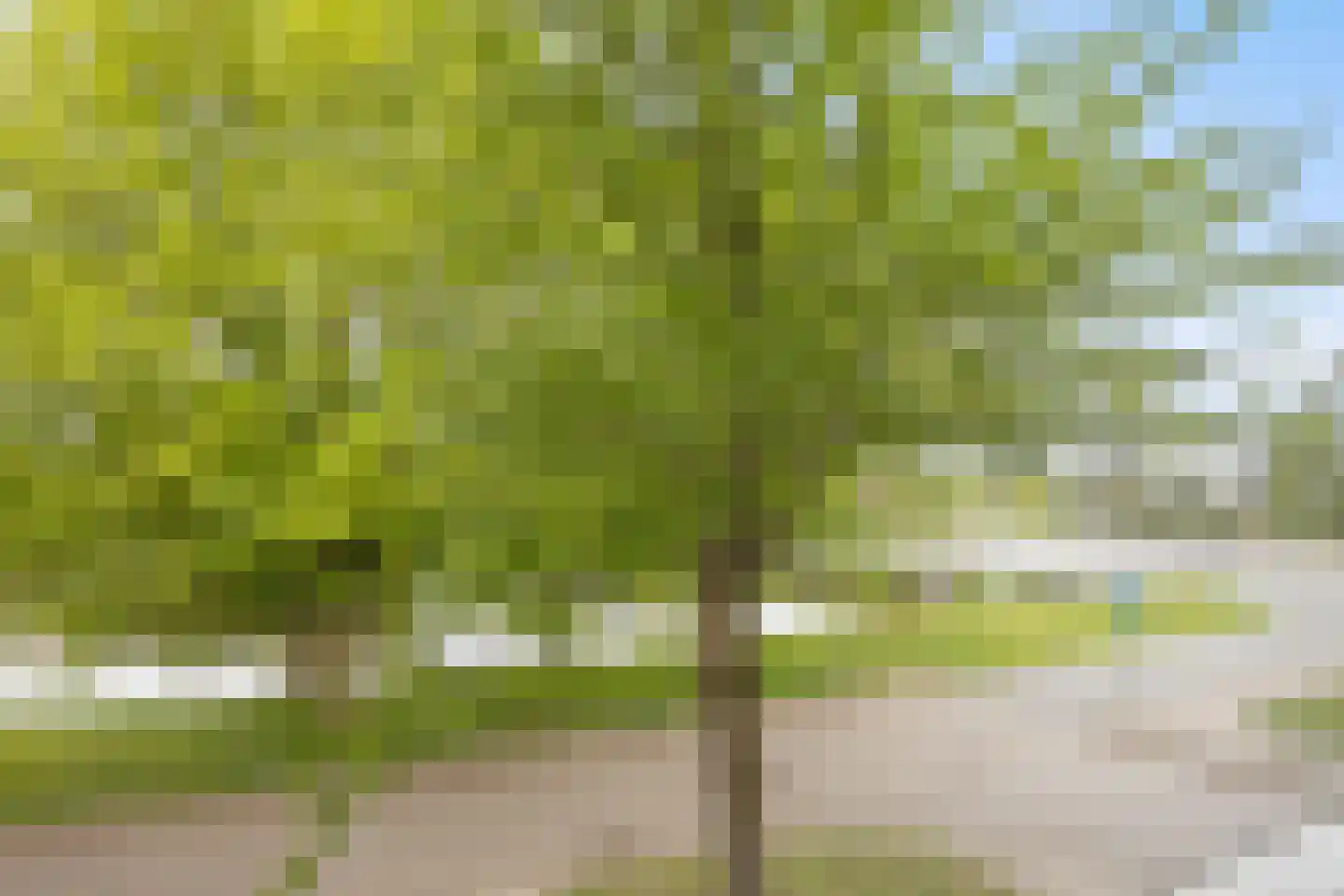 Kick Wilstraplantsoen 2 Almere thumbnail 34
