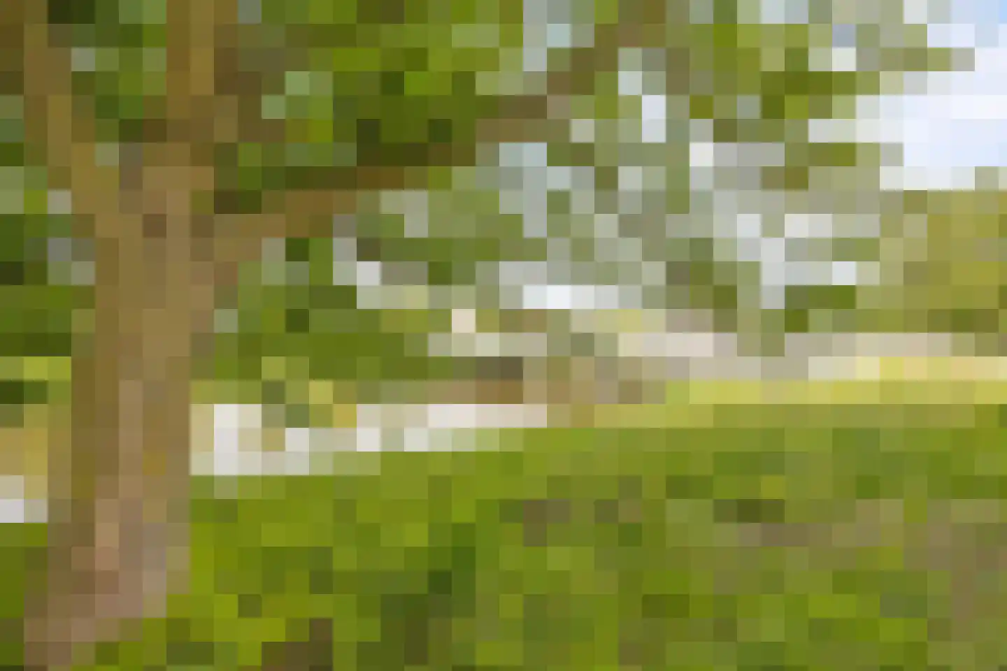 Kick Wilstraplantsoen 2 Almere thumbnail 36