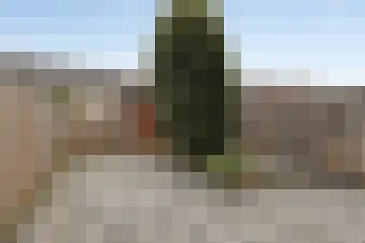 Kick Wilstraplantsoen 38 Almere thumbnail 18