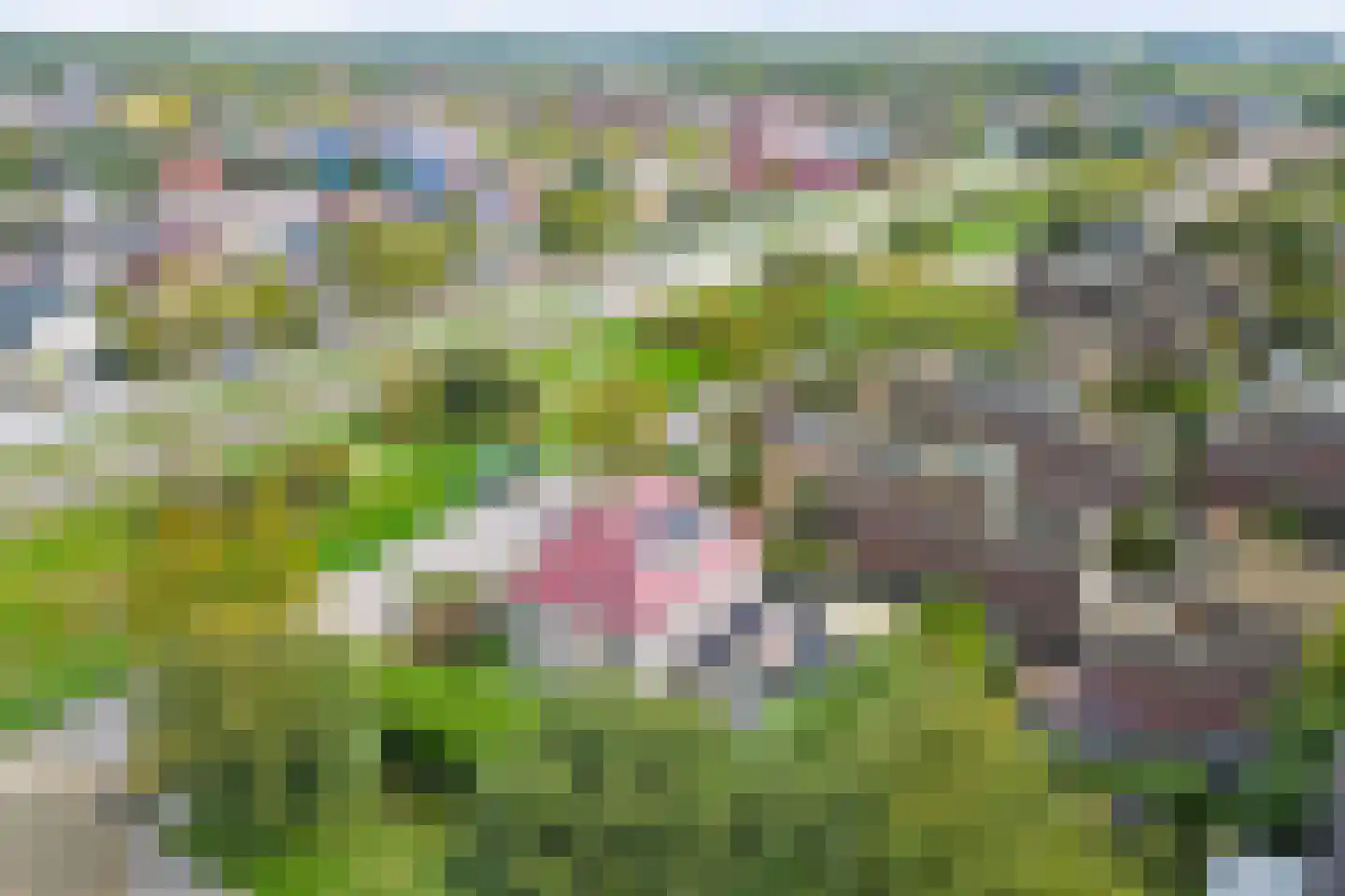 Kick Wilstraplantsoen 42 Almere thumbnail 33