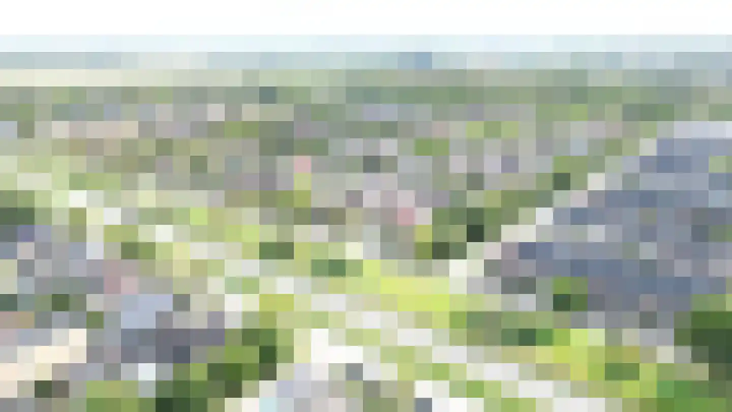 Kick Wilstraplantsoen 42 Almere thumbnail 4