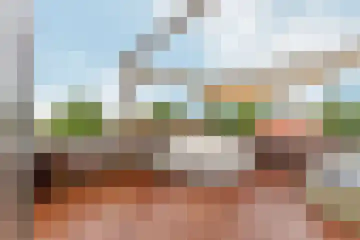 Kick Wilstraplantsoen 58 Almere thumbnail 39