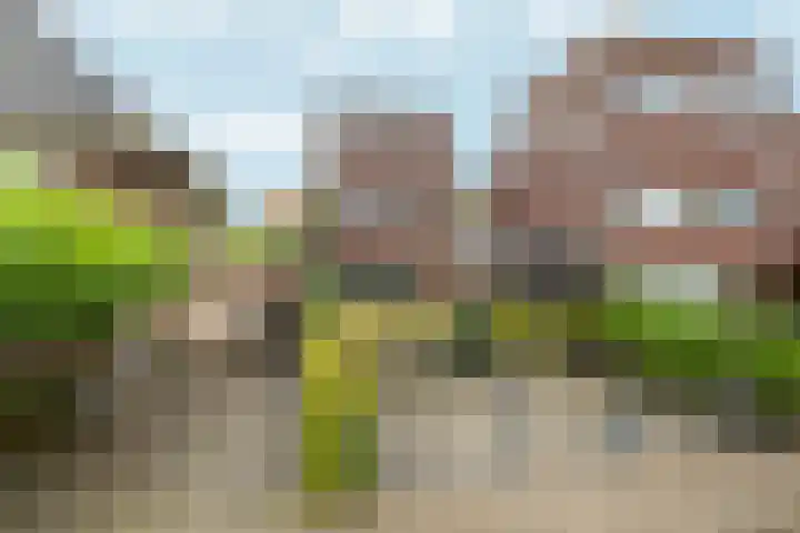 Kick Wilstraplantsoen 58 Almere thumbnail 43